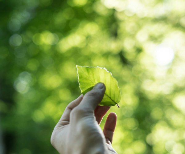 var-syn-pa-hallbarhet